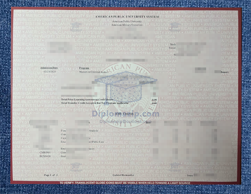 AMU Degree, AMU Diploma