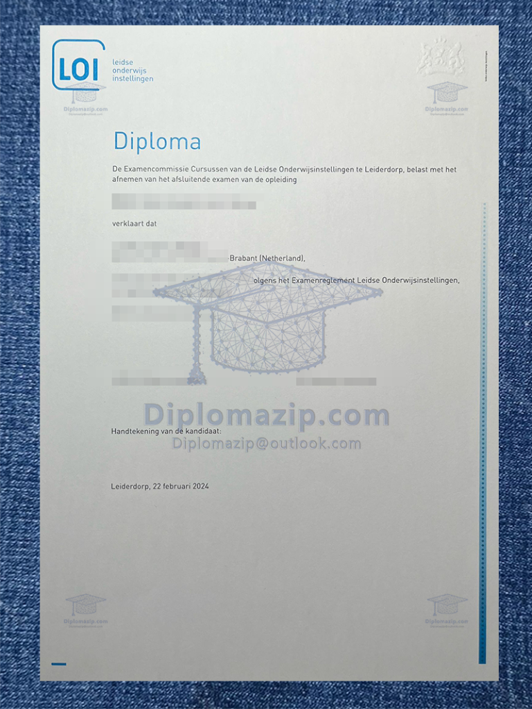 Leidse Onderwijs Instellingen Diploma, Leidse Onderwijs Instellingen Degree